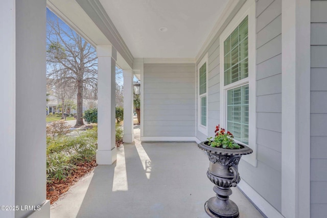 view of patio / terrace with a porch