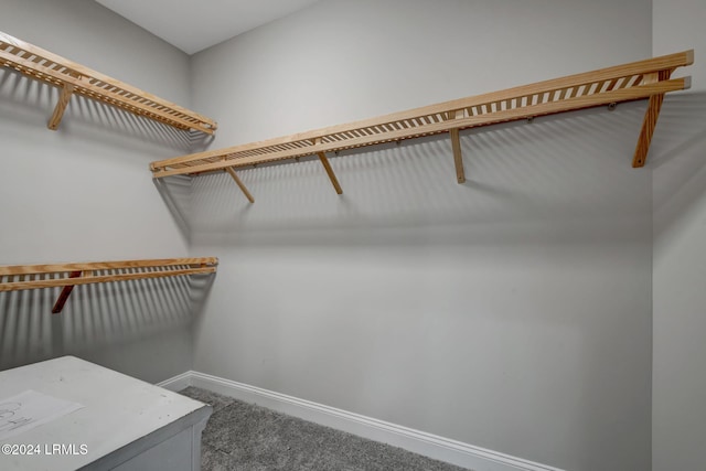 spacious closet featuring carpet flooring