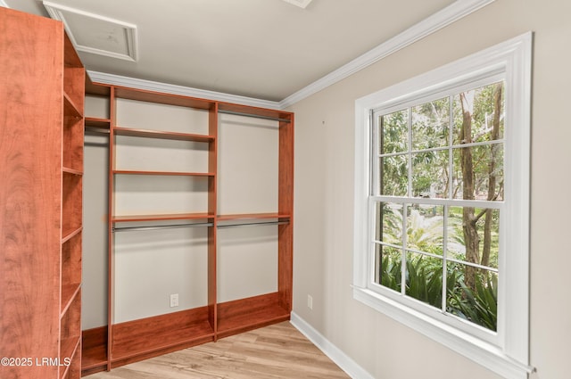 83 Sunset Blvd, Beaufort, SC 29907 - spacious closet with attic access and wood finished floors