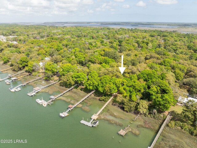 83 Sunset Blvd, Beaufort, SC 29907 - aerial view featuring a water view and a wooded view
