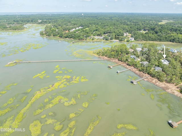 10 Islands Ln, Beaufort, SC 29902 - photo 89