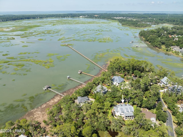 10 Islands Ln, Beaufort, SC 29902 - photo 84