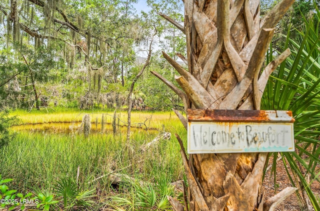 10 Islands Ln, Beaufort, SC 29902 - photo 80