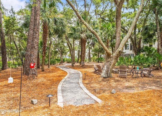10 Islands Ln, Beaufort, SC 29902 - photo 78