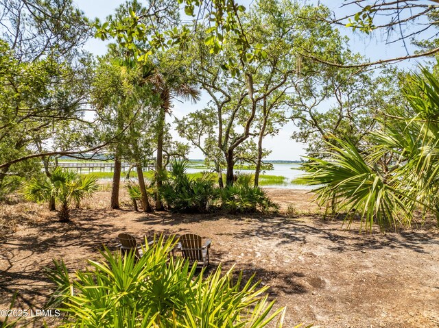 10 Islands Ln, Beaufort, SC 29902 - photo 91