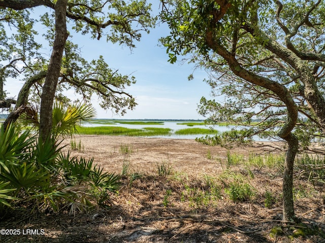 10 Islands Ln, Beaufort, SC 29902 - photo 92