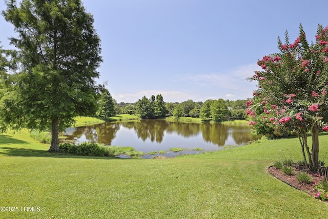 21 Wendover Ct, Bluffton, SC 29909 - photo 41