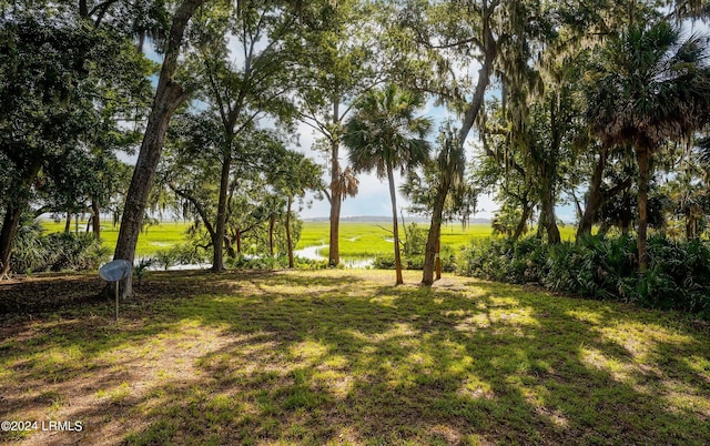 view of yard featuring a water view