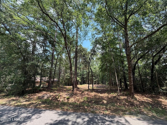 86 Wade Hampton Dr, Beaufort, SC 29907
