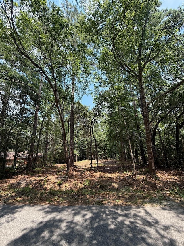 86 Wade Hampton Dr, Beaufort, SC 29907