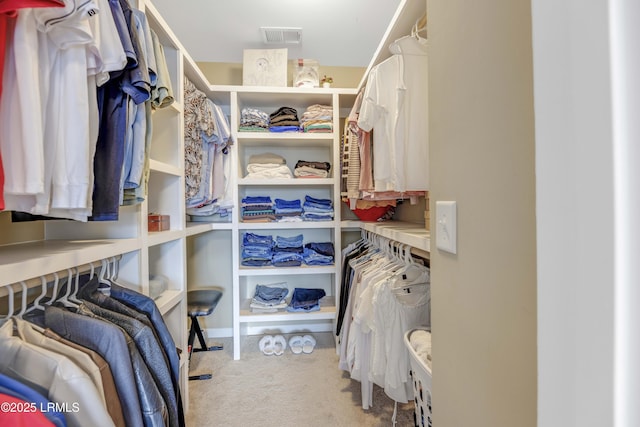 spacious closet featuring light colored carpet