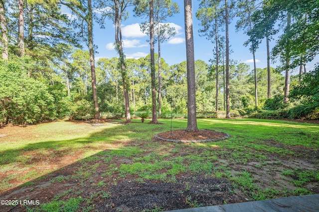 471 Sams Point Rd, Beaufort, SC 29907 - photo 40