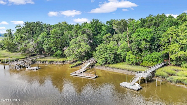 dock area with a water view