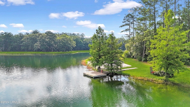 view of water feature with a dock