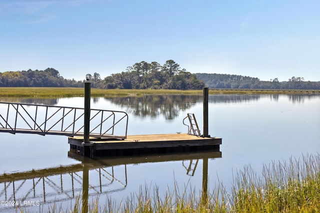 dock area featuring a water view