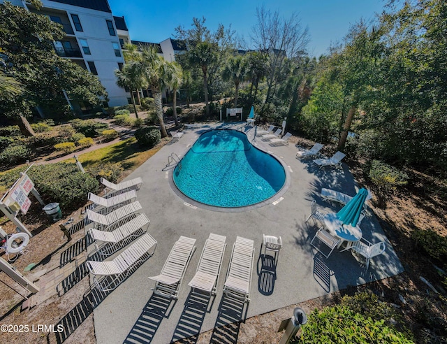 view of pool featuring a patio