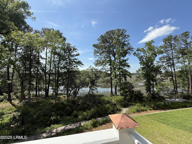 view of yard featuring a water view