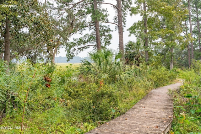 view of property's community