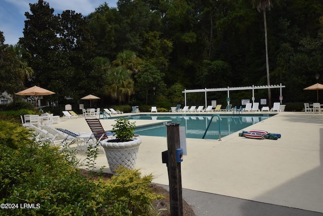 view of pool with a patio