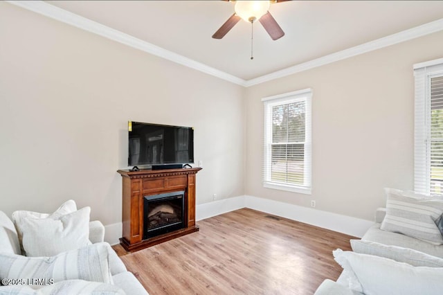 502 Willard Street Ext, Hampton, SC 29924 - photo 10