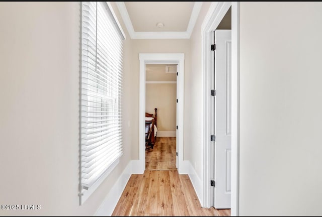 502 Willard Street Ext, Hampton, SC 29924 - photo 15