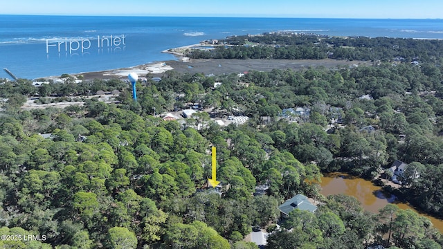 aerial view featuring a water view and a view of trees