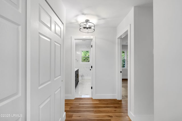 7 Surf Dr, Beaufort, SC 29907 - photo 24