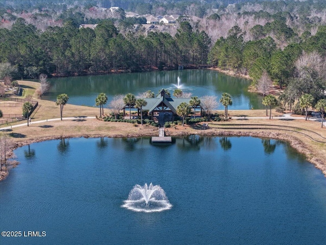 water view with a wooded view