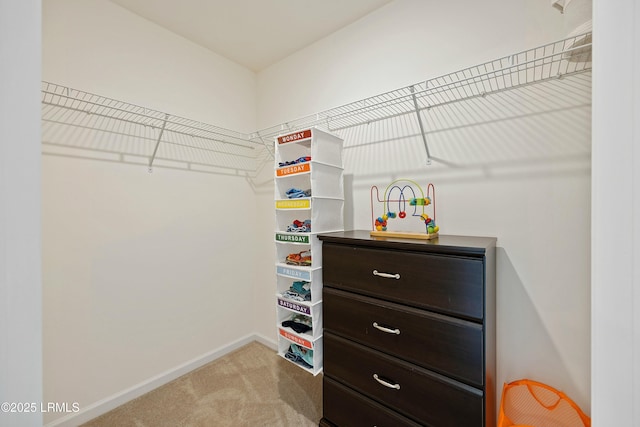 spacious closet with light colored carpet