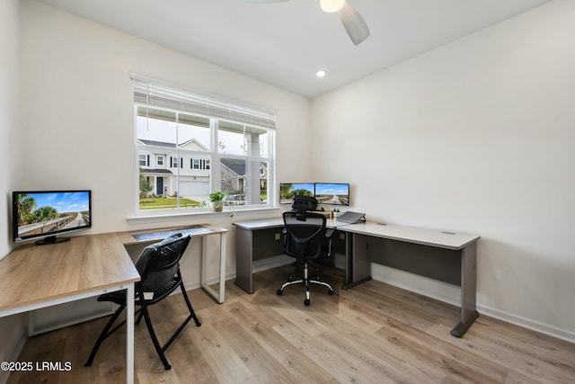 office space featuring ceiling fan and light wood-type flooring