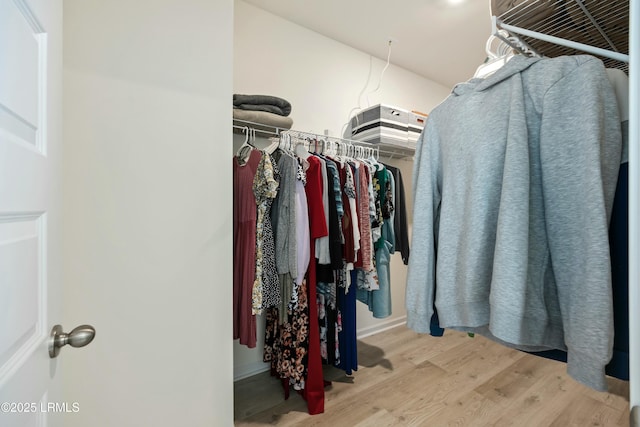 spacious closet with light wood-type flooring