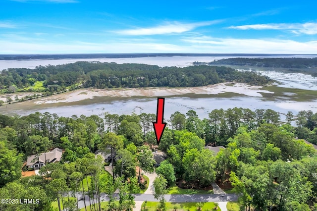9 Spartina Cres, Bluffton, SC 29910 - aerial view of property and surrounding area with a large body of water and a forest