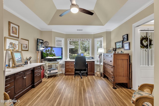 9 Spartina Cres, Bluffton, SC 29910 - office with light wood-style flooring, a tray ceiling, a ceiling fan, and ornamental molding