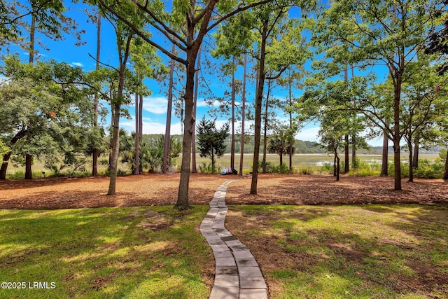 9 Spartina Cres, Bluffton, SC 29910 - view of grassy yard with a water view