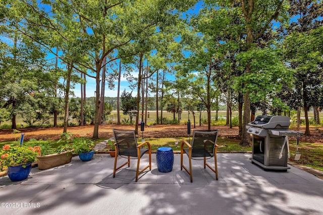 9 Spartina Cres, Bluffton, SC 29910 - view of patio / terrace featuring area for grilling and a mountain view