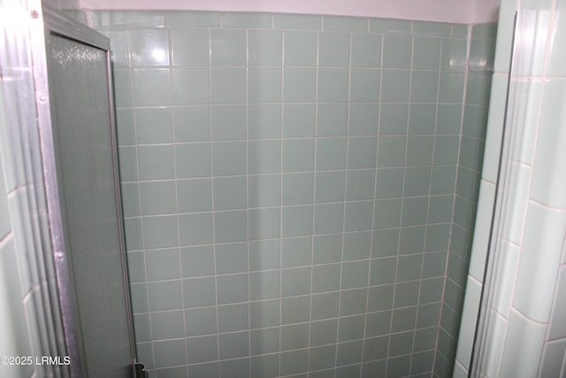 1933 Bamberg Hwy, Hampton, SC 29924 - bathroom with a shower stall