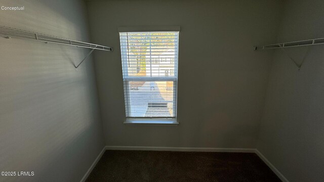24 Twickenham Loop, Yemassee, SC 29945 - walk in closet featuring carpet