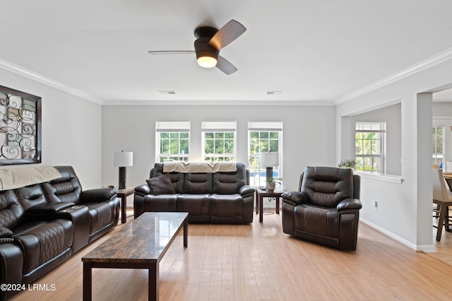 living room featuring ceiling fan, ornamental molding, and light hardwood / wood-style floors