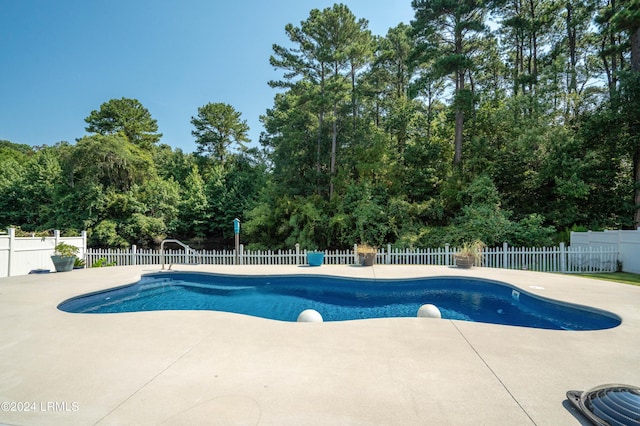 view of pool featuring a patio