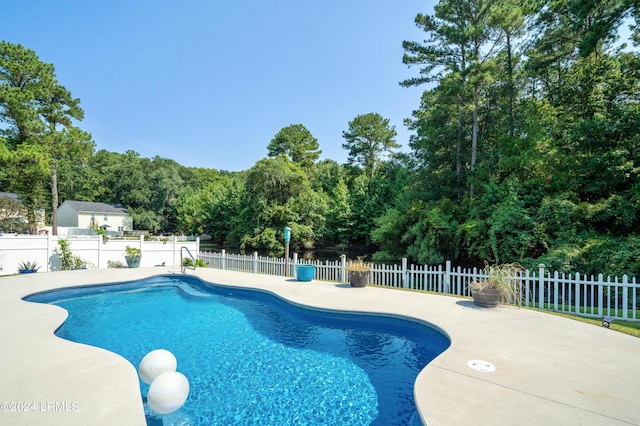 view of pool with a patio area