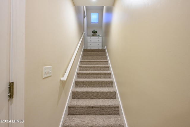 stairway featuring carpet floors