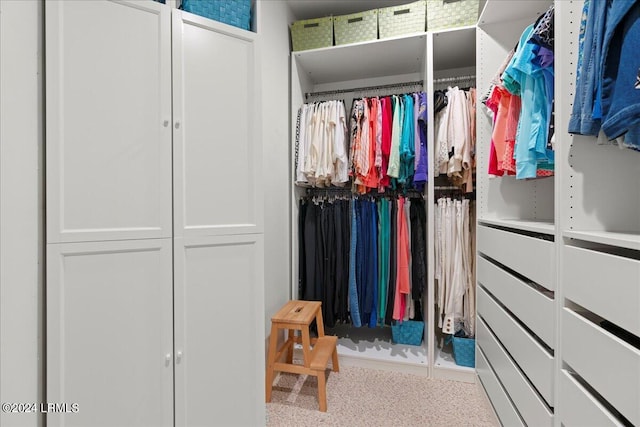 walk in closet featuring carpet flooring