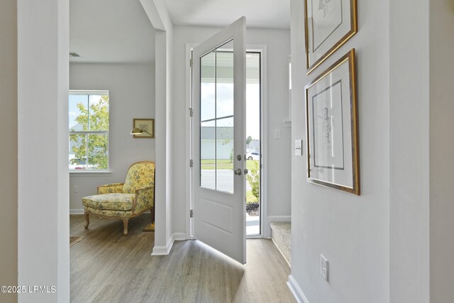 257 Garden Gate Cir E, Hardeeville, SC 29927 - foyer entrance featuring light wood-style flooring