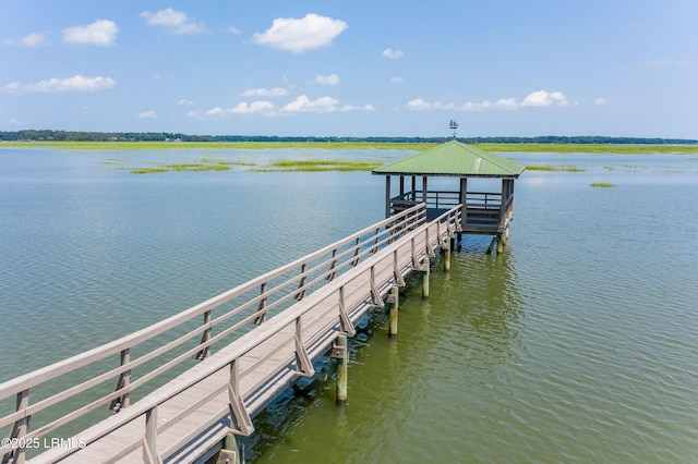 dock area with a water view