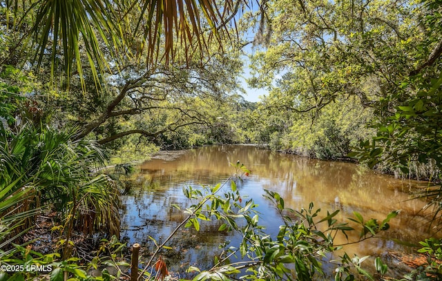 3 Ocean Marsh Ln, Harbor Island, SC 29920 - water view