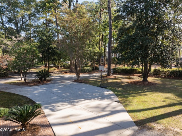 view of home's community featuring a yard