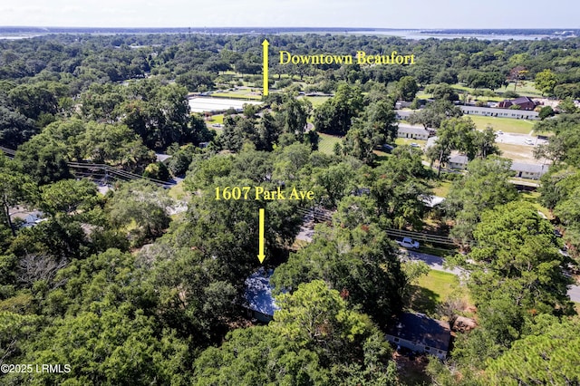 1607 Park Ave, Beaufort, SC 29902 - photo 20