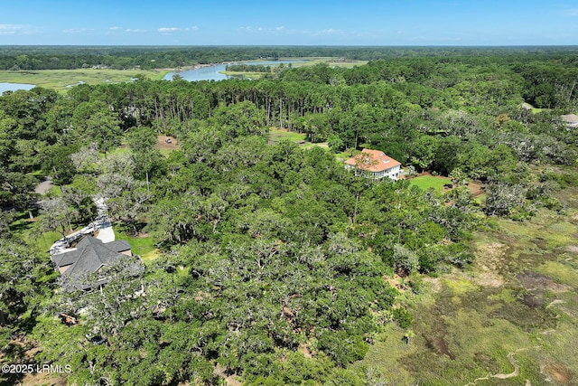 TBD Broadview Dr, Ridgeland, SC 29936 - photo 24