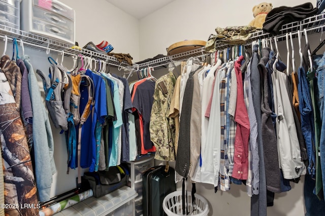 view of walk in closet