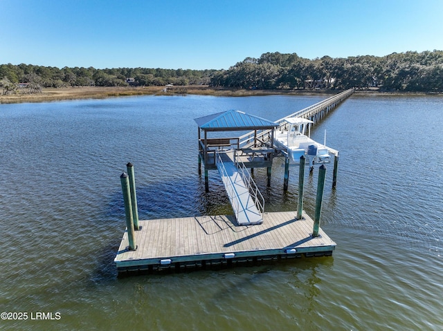 dock area with a water view